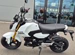 Angebot Honda MSX125 Grom