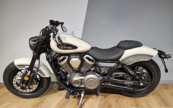 Neufahrzeug Benda Chinchilla 500 - Bild 2