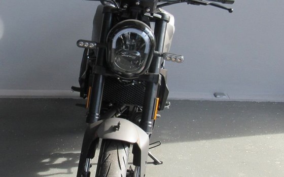 Neufahrzeug Benelli Leoncino 125 - Bild 10