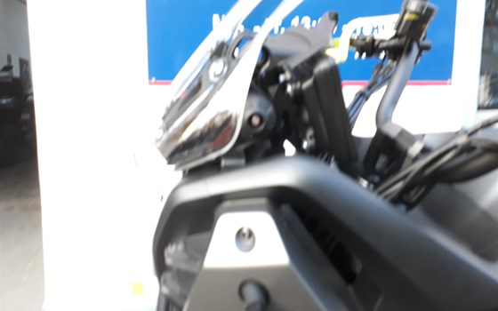 Neufahrzeug QJ Motor SVT 650 X - Bild 5