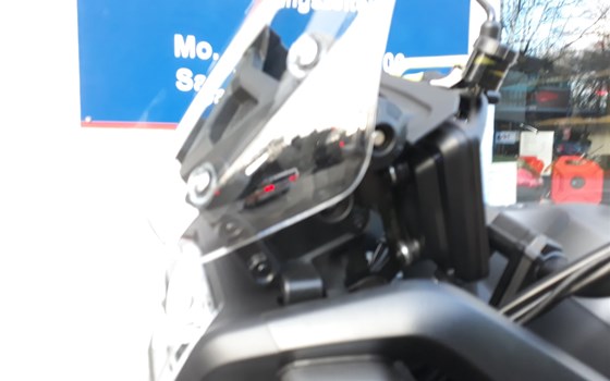 Neufahrzeug QJ Motor SVT 650 X - Bild 6