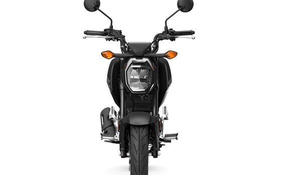 Neufahrzeug Honda MSX125 Grom - Bild 3