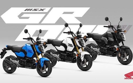 Neufahrzeug Honda MSX125 Grom - Bild 5
