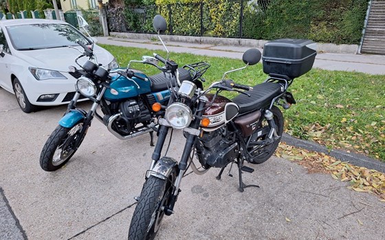 Gebrauchtmotorrad Mash Seventy Five - Bild 2