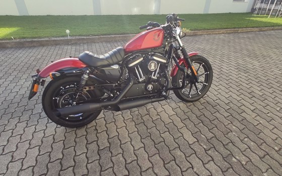 Gebrauchtmotorrad Harley-Davidson Sportster XL 883 N Iron - Bild 3 Gebrauchtmotorrad Harley-Davidson Sportster XL 883 N Iron - Bild 3