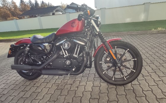 Gebrauchtmotorrad Harley-Davidson Sportster XL 883 N Iron - Bild 4 Gebrauchtmotorrad Harley-Davidson Sportster XL 883 N Iron - Bild 4