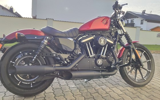 Gebrauchtmotorrad Harley-Davidson Sportster XL 883 N Iron - Bild 5 Gebrauchtmotorrad Harley-Davidson Sportster XL 883 N Iron - Bild 5