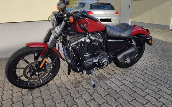 Gebrauchtmotorrad Harley-Davidson Sportster XL 883 N Iron - Bild 6