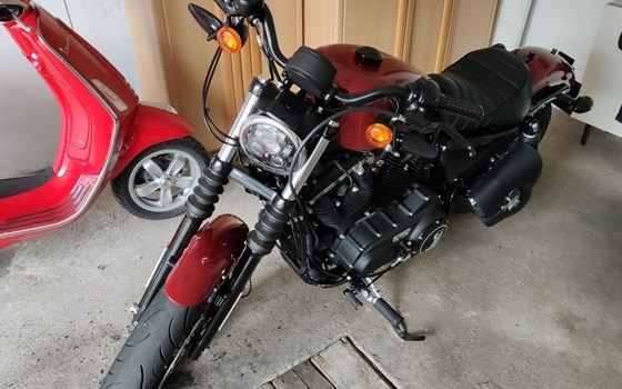 Gebrauchtmotorrad Harley-Davidson Sportster XL 883 N Iron - Bild 7 Gebrauchtmotorrad Harley-Davidson Sportster XL 883 N Iron - Bild 7