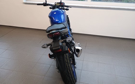 Neufahrzeug Suzuki SV650 - Bild 2