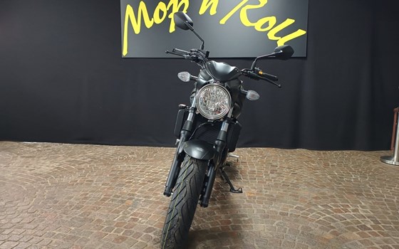 Neufahrzeug Suzuki SV650 - Bild 4
