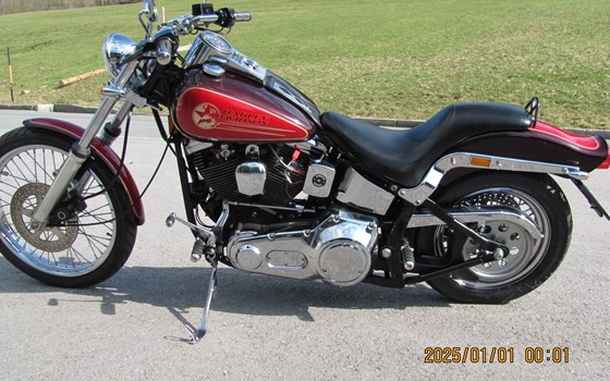 Gebrauchtmotorrad Harley-Davidson Softail Custom FXSTC - Bild 6 Gebrauchtmotorrad Harley-Davidson Softail Custom FXSTC - Bild 6