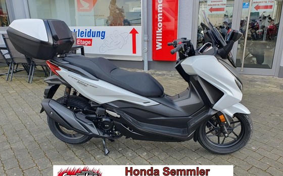 Neufahrzeug Honda Forza 350 - Bild 1