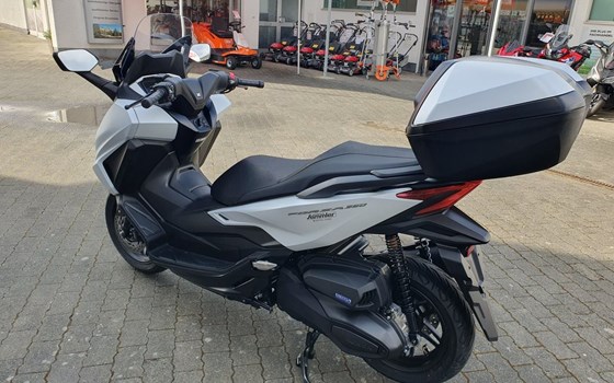 Neufahrzeug Honda Forza 350 - Bild 13