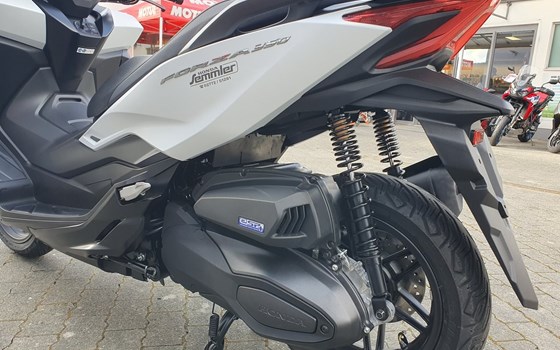 Neufahrzeug Honda Forza 350 - Bild 15