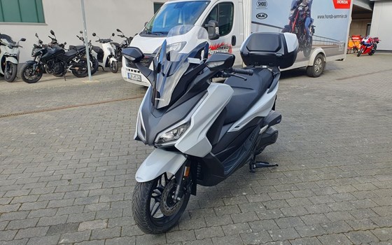 Neufahrzeug Honda Forza 350 - Bild 19