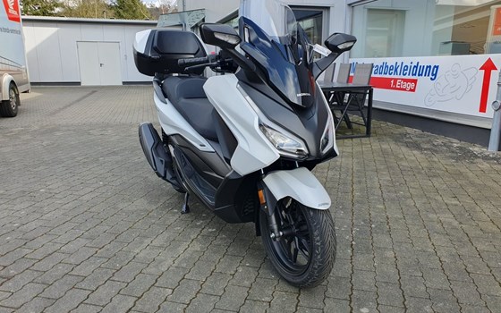 Neufahrzeug Honda Forza 350 - Bild 3