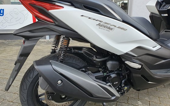Neufahrzeug Honda Forza 350 - Bild 5