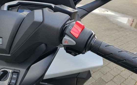 Neufahrzeug Honda Forza 350 - Bild 9