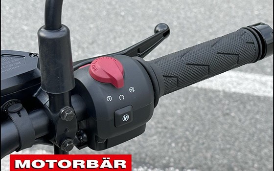 Neufahrzeug Royal Enfield Himalayan 450 - Bild 12