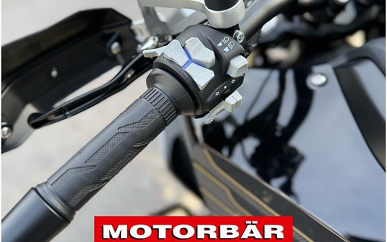 Neufahrzeug QJ Motor SRT 700 SX - Bild 13