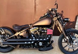 Occasion Harley-Davidson Softail Night Train FXSTB