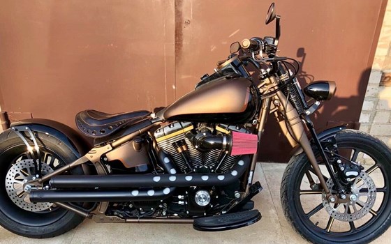 Offerta Harley-Davidson Softail Night Train FXSTB - Immagine 1