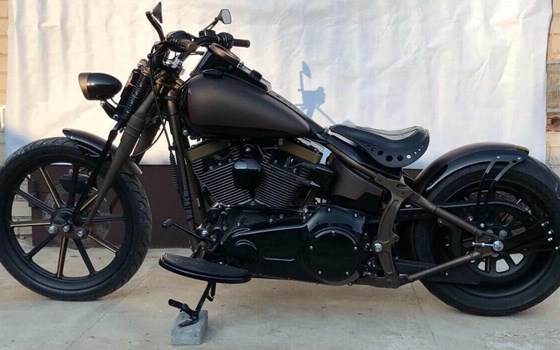 Offerta Harley-Davidson Softail Night Train FXSTB - Immagine 2