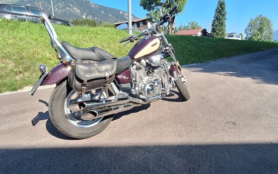Gebrauchtmotorrad Yamaha XV 750 Virago - Bild 3 Gebrauchtmotorrad Yamaha XV 750 Virago - Bild 3