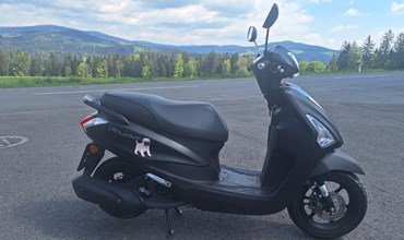 Yamaha D'elight