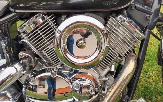 Motorrad Occasion Yamaha XVS 1100 Drag Star - Bild 3