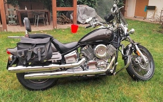 Motorrad Occasion Yamaha XVS 1100 Drag Star - Bild 5