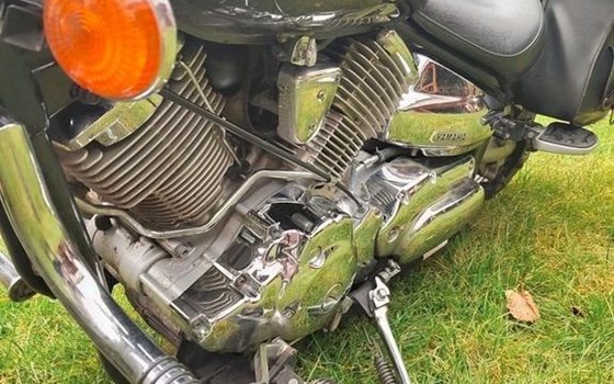 Motorrad Occasion Yamaha XVS 1100 Drag Star - Bild 6