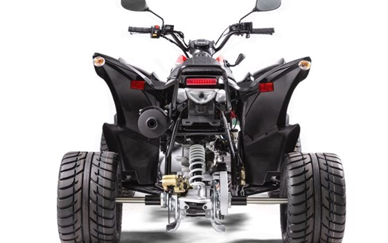 Neufahrzeug Aeon Cobra 424 SM - Bild 3