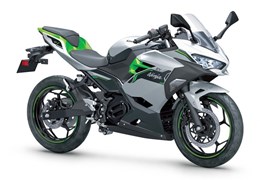 Neumotorrad Kawasaki Ninja e-1