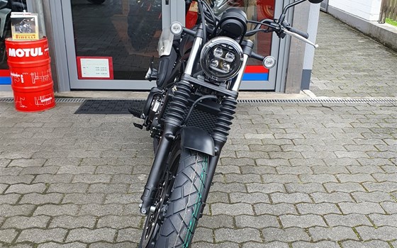 Neufahrzeug Honda CL500 - Bild 2