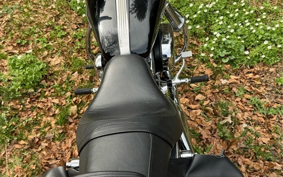 Gebrauchtmotorrad Harley-Davidson Sportster XL 1200C Custom - Bild 4