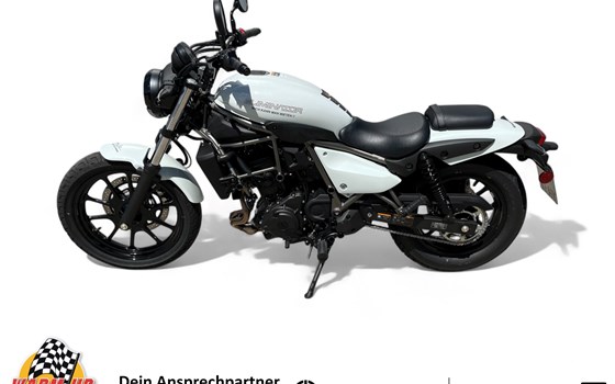 Gebrauchtmotorrad Kawasaki Eliminator 500 - Bild 10