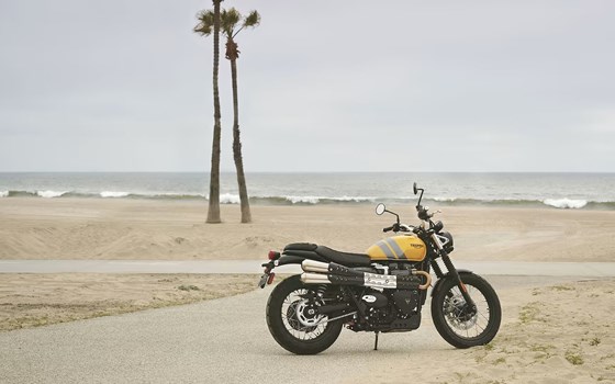 Neufahrzeug Triumph Scrambler 900 - Bild 9