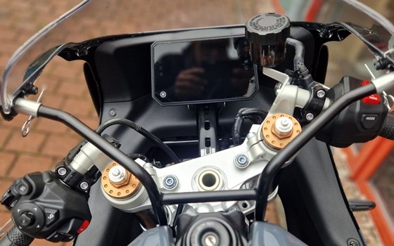 Neufahrzeug Yamaha XSR900 GP - Bild 13