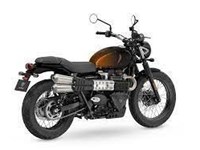 Neumotorrad Triumph Scrambler 900 