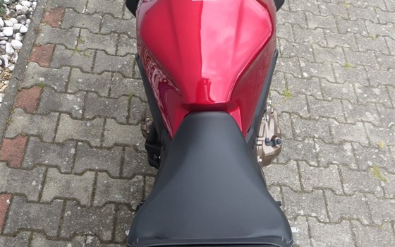 Neufahrzeug Honda CB650R - Bild 5