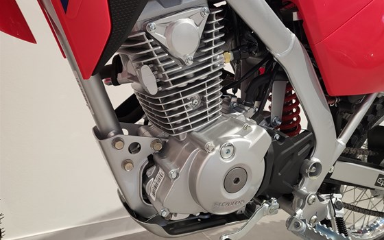 Neufahrzeug Honda CRF125F - Bild 6