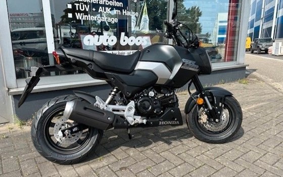 Neufahrzeug Honda MSX125 Grom - Bild 2