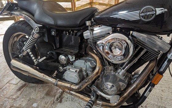 Gebrauchtmotorrad Harley-Davidson Dyna Super Glide FXD - Bild 3 Gebrauchtmotorrad Harley-Davidson Dyna Super Glide FXD - Bild 3