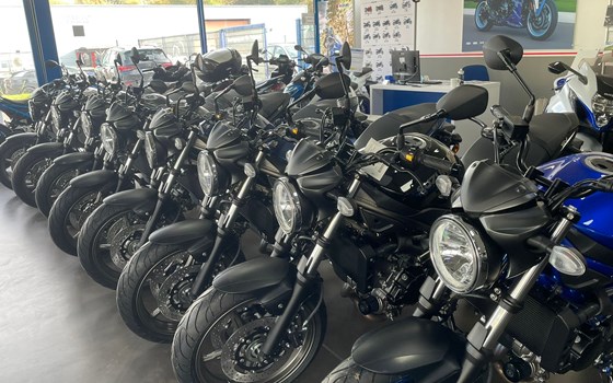 Neufahrzeug Suzuki SV650 - Bild 2