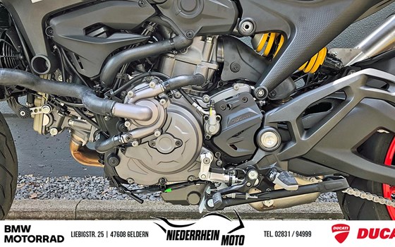 Neufahrzeug Ducati Monster + - Bild 10