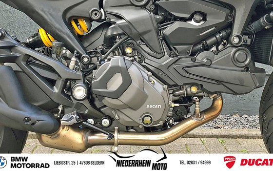Neufahrzeug Ducati Monster + - Bild 2