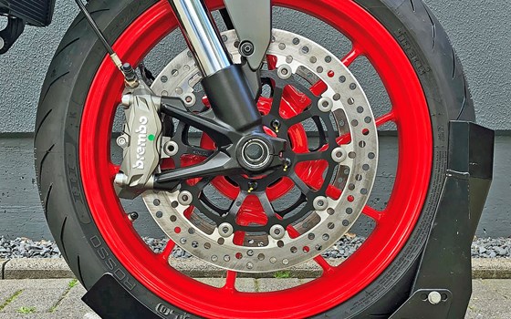Neufahrzeug Ducati Monster + - Bild 3