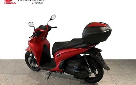 Neufahrzeug Honda SH350i - Bild 3